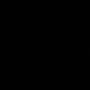 Meet your Posher, Shawn